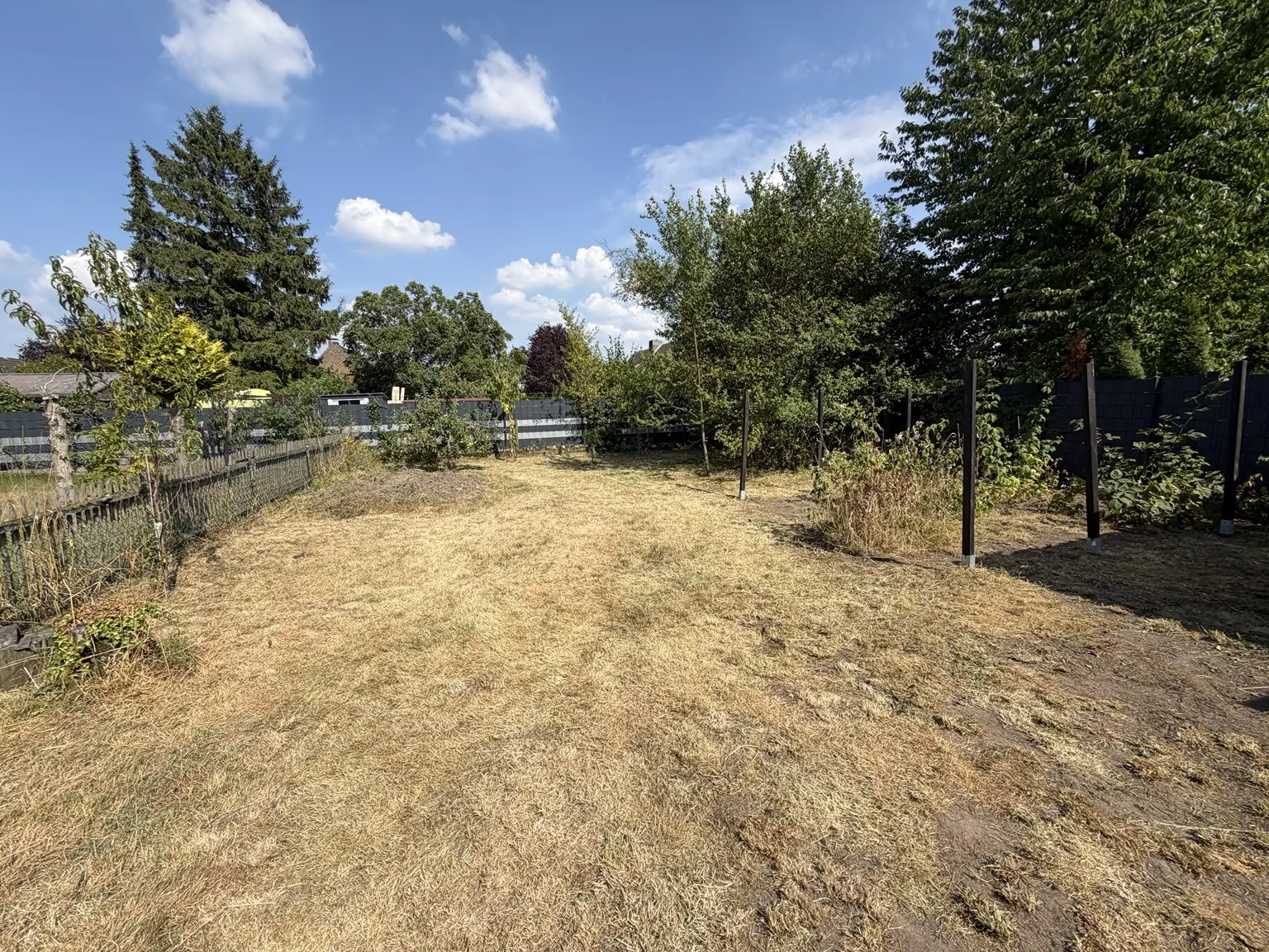 Echte Aufnahme einer gepflegten Gartenfläche nach einem Auftrag