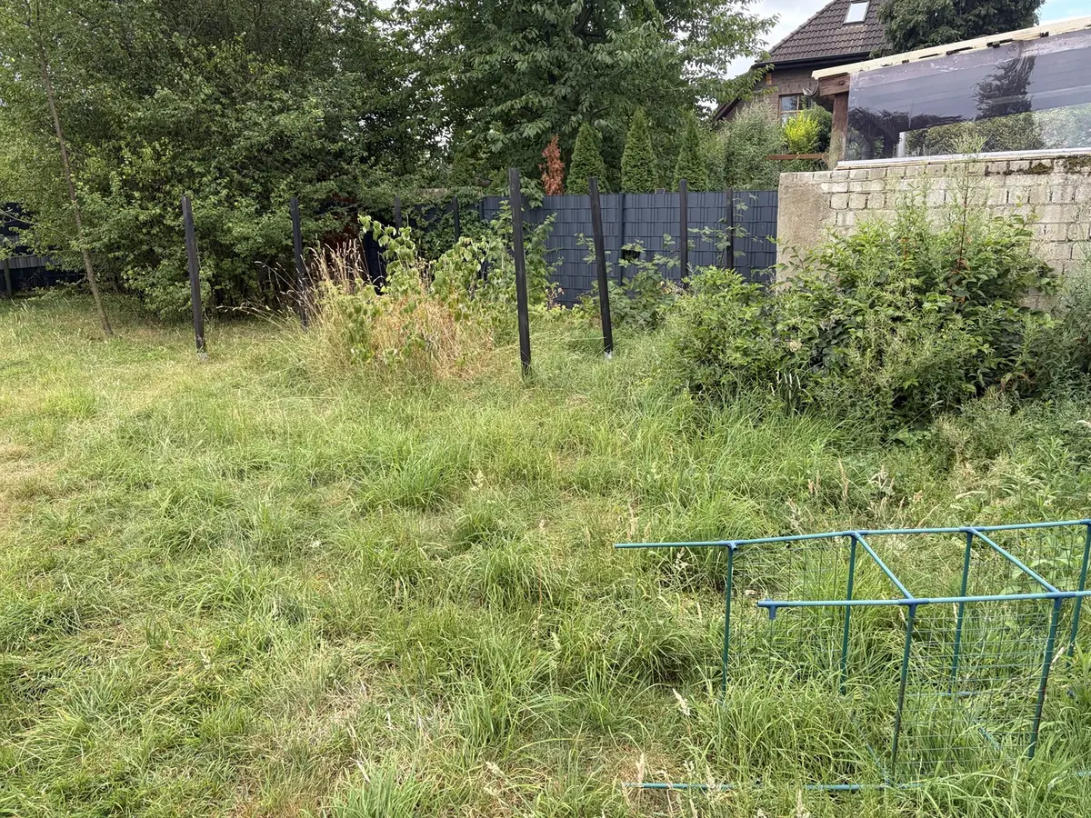 Zugewachsener Beetbereich vor der Bearbeitung