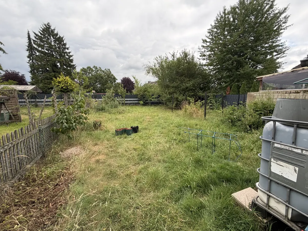 Verwilderte Gartenfläche vor den Gartenarbeiten