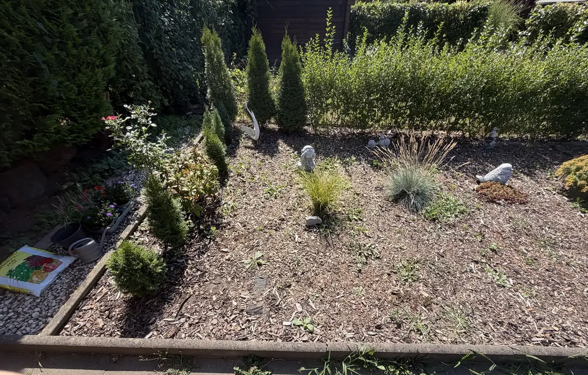 Beetfläche mit Wildwuchs vor der Gartenpflege