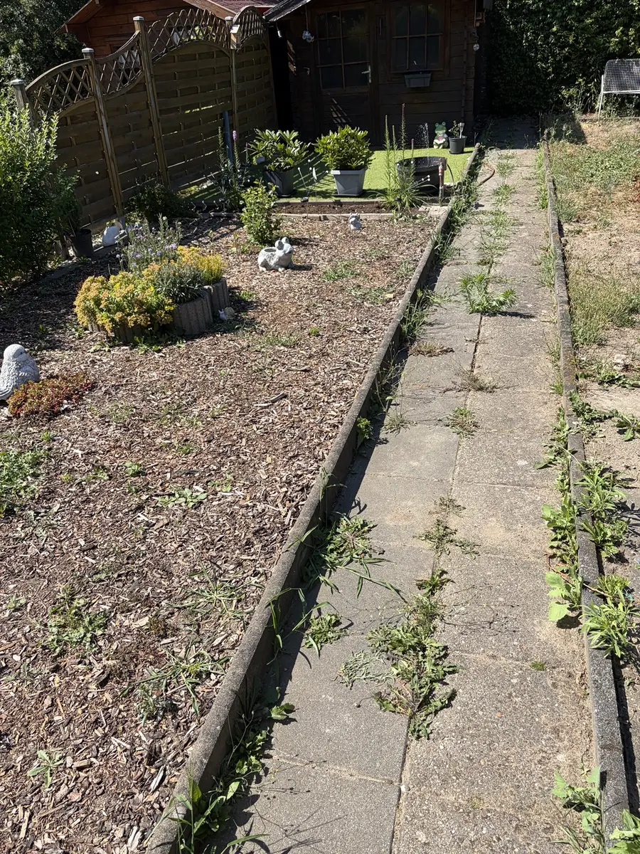 Weg mit Unkraut vor der Gartenpflege